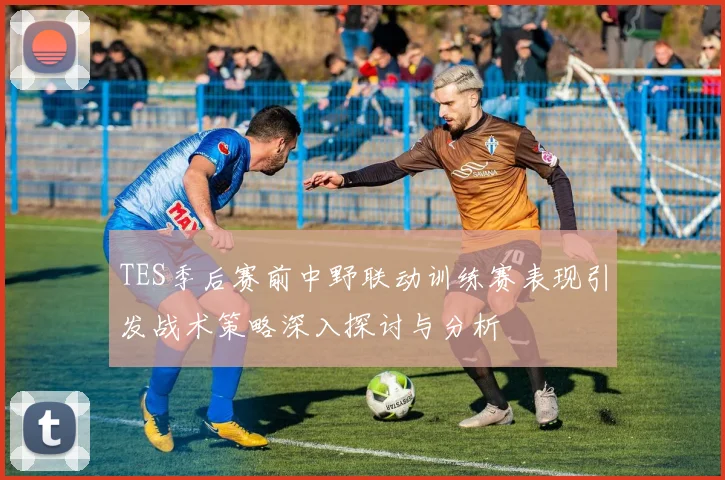 TES季后赛前中野联动训练赛表现引发战术策略深入探讨与分析