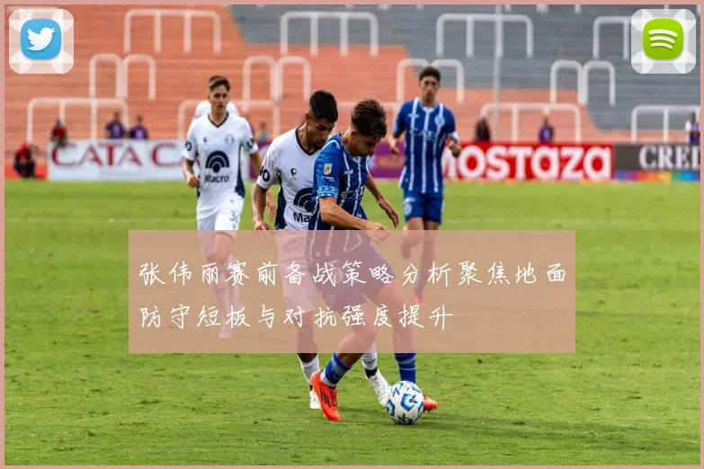 张伟丽赛前备战策略分析聚焦地面防守短板与对抗强度提升